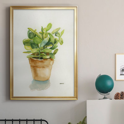 #VALUE! " Succulent "