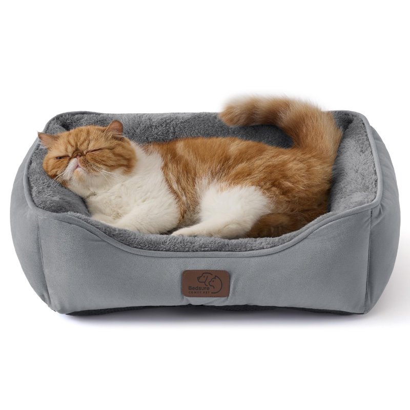 Lit pour chat