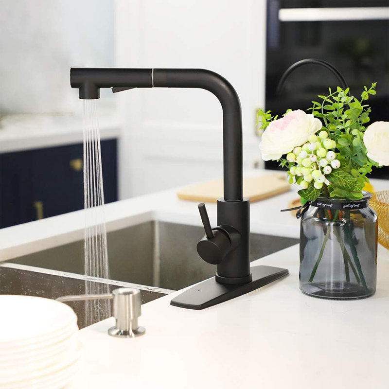 AlenArtWater Pull Out Kitchen Faucet