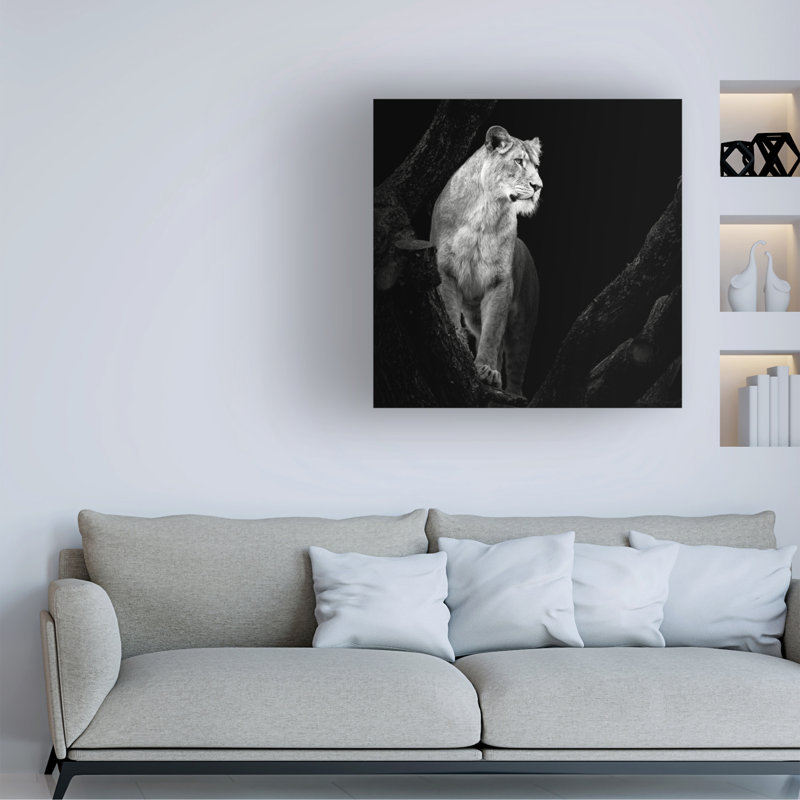 Art sur toile «Lion» Christian Meermann, L 14 po x H 14 po