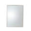 Reeves Rectangle Metal Mirror