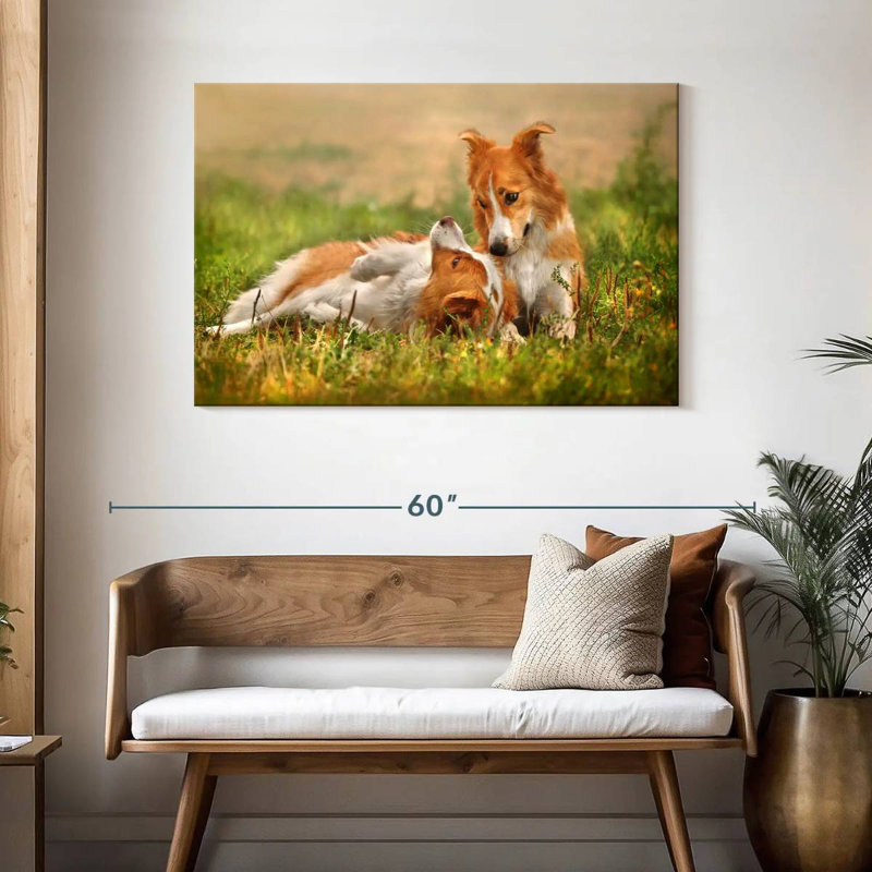 Brampt Border Collie Playtime, 30" H x 45" W