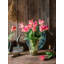 Silk Flame Flower Tulip Spray-1263806476