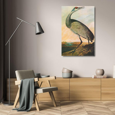 Sandhill Crane