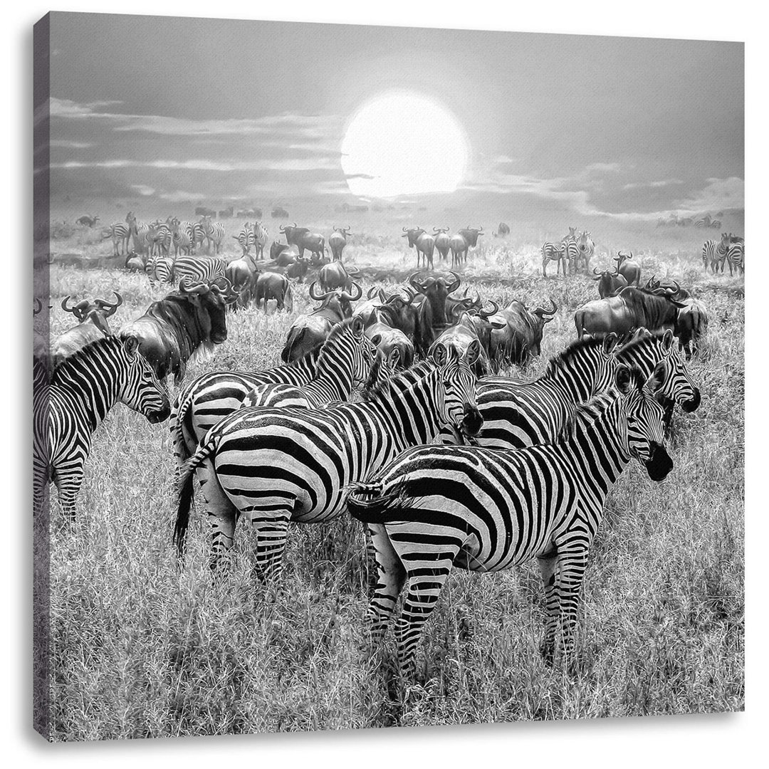 Leinwandbild Zebra Herd Savannah at Sunset