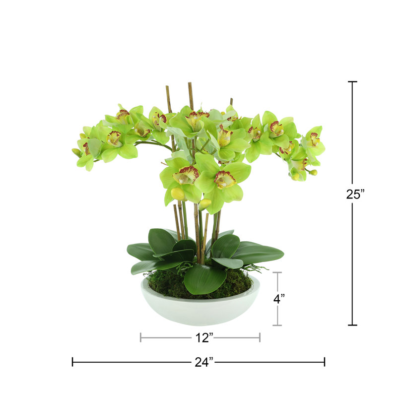 Orchids Arranged in Fiberstone Planter, Green