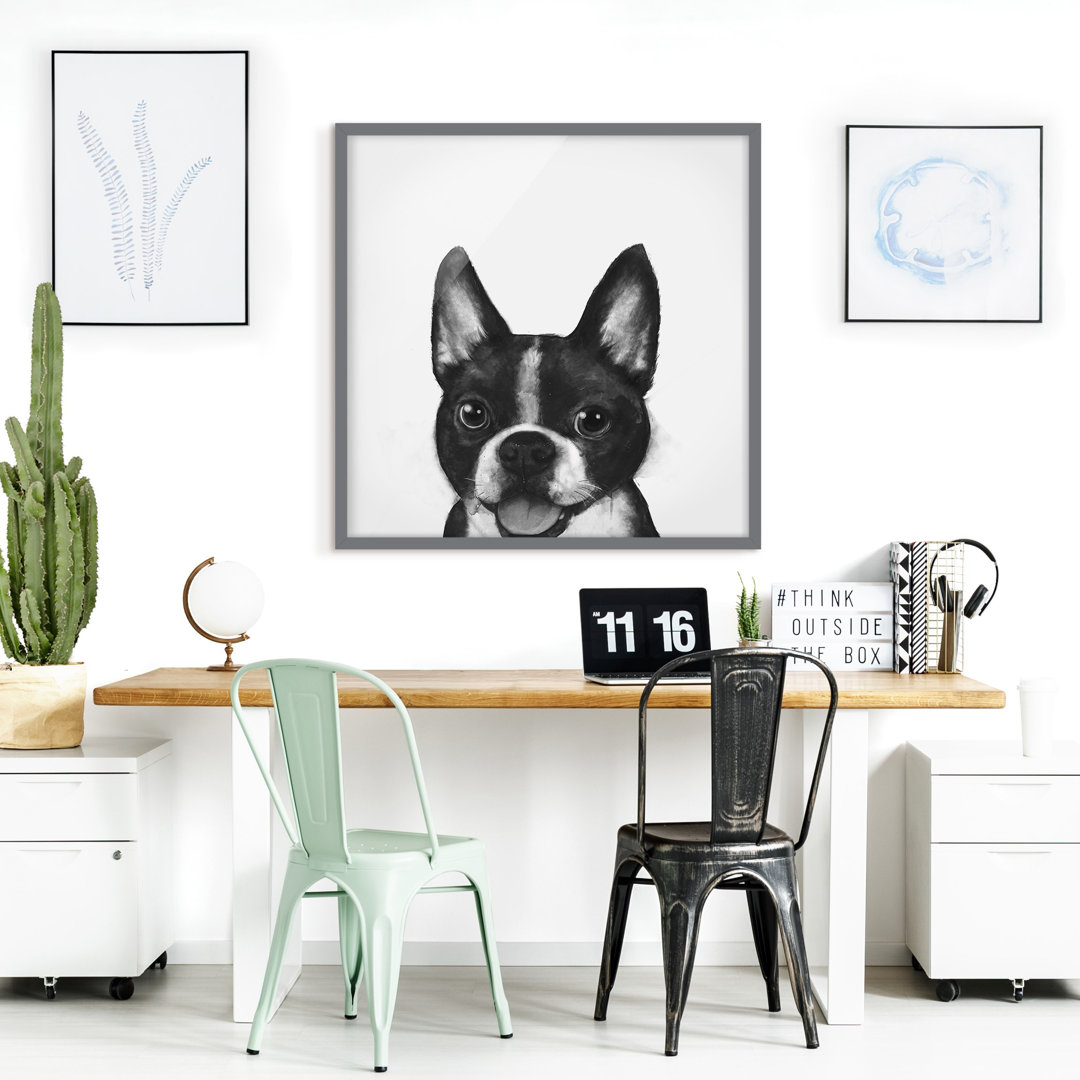 Gerahmter Grafikdruck Illustration Dog Boston Black White