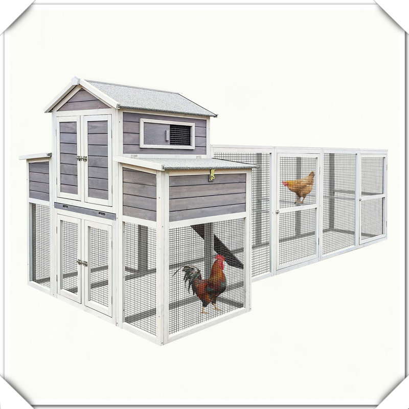 Poulailler en bois, Gris / Blanc