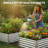 Galvanized Raised Garden Bed 2-Pack – 6FT Metal Planter Box for Vegetables, Herbs & Flowers, Easy Assembly, Outdoor & Rust-Resistant