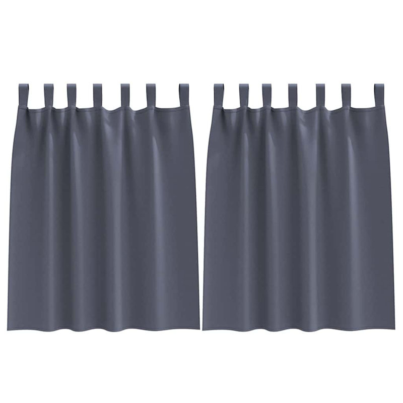 Curtains With Curtains 2 Pcs Polyester, 140cm Width x 140cm Drop, Anthracite
