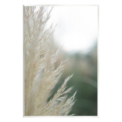 «Close Up Country Pampas Grass» par Jason Johnson