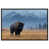 Black Floater Frame is unavailable