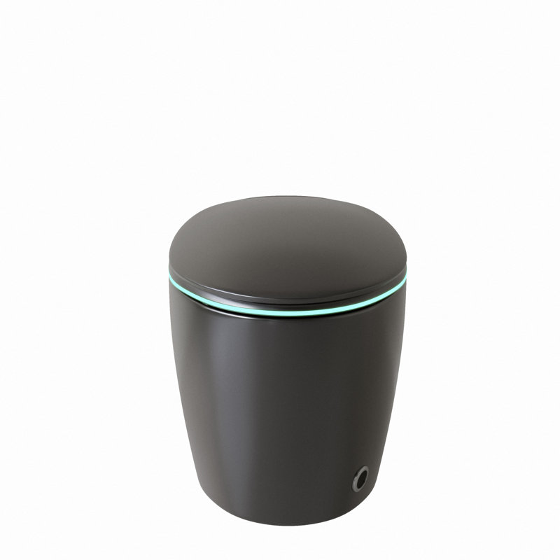 Smart Ceramic Toilets, Grey Modern Design With Built-in Bidet