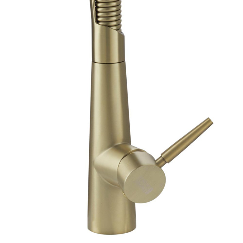 Belfry Kitchen Dunfee Pull Out Kitchen Faucet, Matte Black/Antique Brass
