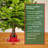 Santa Live Tree Stand