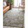 Cowie Green/Gray Indoor/Outdoor Area Rug
