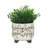 CERAMIC 6/8" SCRIBBLE FOOTED PLANTER, BEIGE