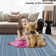Machine Washable Area Rugs for Living Room Non-Slip Rug Durable Floor Carpet Easy-Cleaning Rug