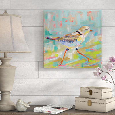 Coastal Plover I 1 Piece Wrapped Canvas Painting
