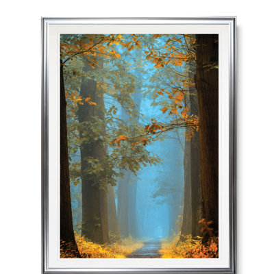 " Orange Blue Avenue "