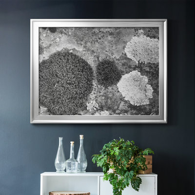 Found Textures XIX sur toile de qualité supérieure - prête à être accrochée