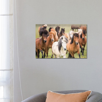Grassland Horses III by PHBurchett - Wrapped Canvas Print