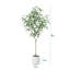 Anasta faux ficus avec pot de fleurs ovale blanc-632575328