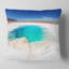 Coussin Schafer-472289772-472289760