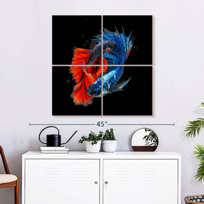 Thailand Betta Fish