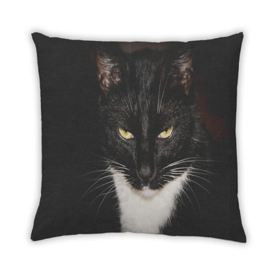 Coussin 43 chats