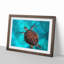 A Sea Turtle in Abstract - Picture Frame Graphic Art Print-55629325-55629320