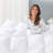 Cuddledown Percale 600FP Down Comforter, King Winter-120496363-116385983