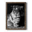 Tiger Repose - photographie avec cadre photo sur toile-798844131-798844132