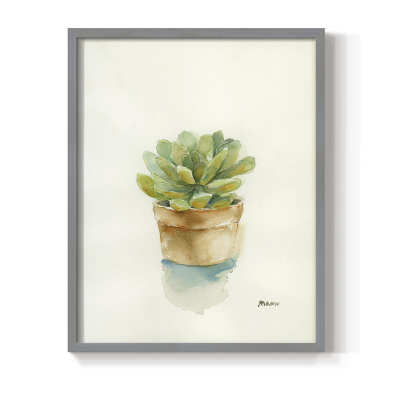 Succulent II, reproduction encadrée - bois massif, Gris, H 15 po x l 12 po