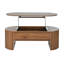 Table basse relevable avec compartiment de rangement caché, table de salon ovale moderne-129599546