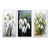 Cadre flottant blanc