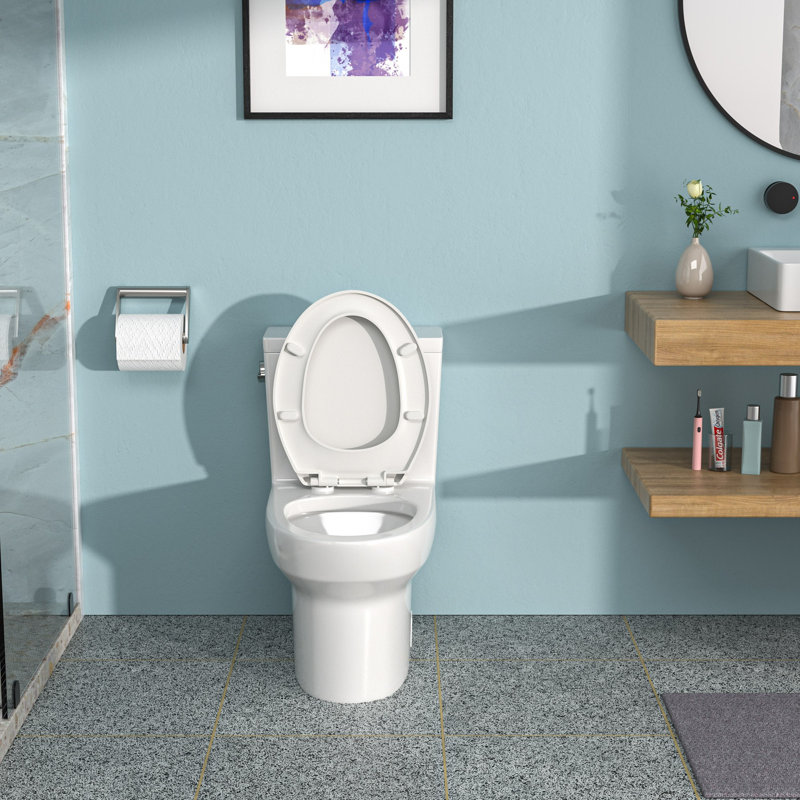 Toilette monobloc en céramique à une chasse avec siège cloisonné