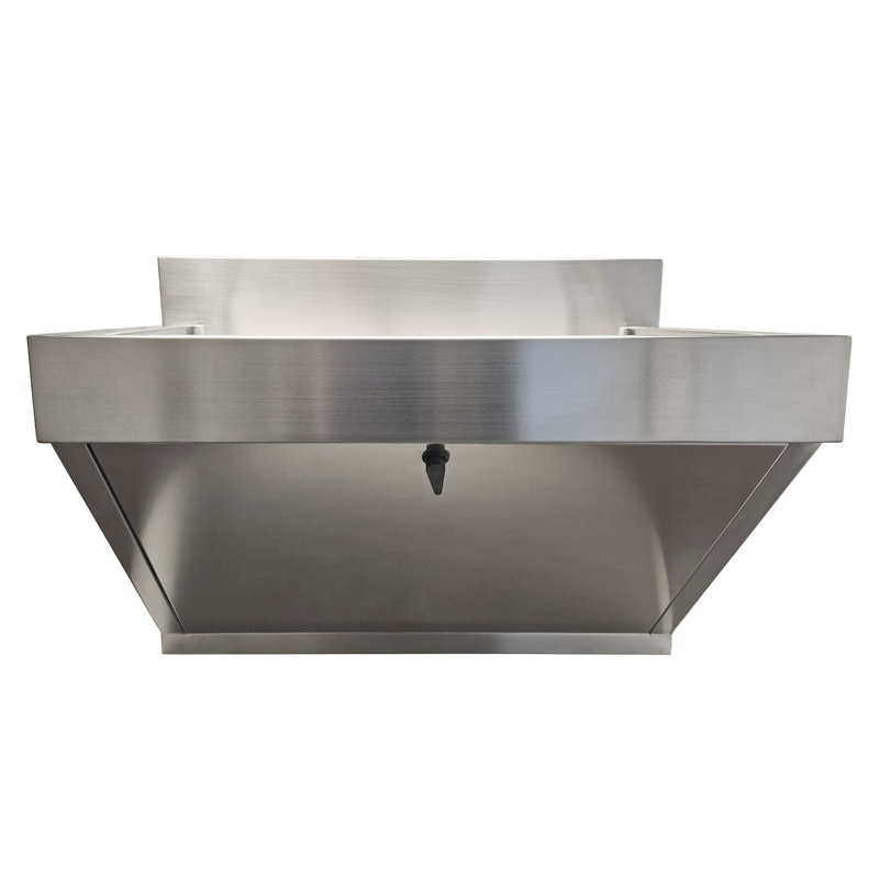 Noah's 30" L x 23" W  Wall Mount Laundry Sink