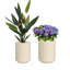 Pot de fleurs Allenville Fiberstone-1664354842-1717968734