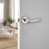 Polished Nickel Rose selected