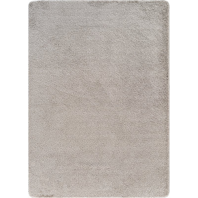 Washable Indoor Area Rug