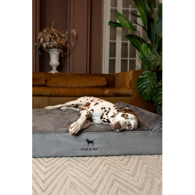 Lit pour chien Noah & Paw XL, grands lits orthopédiques pour chien, mousse à mémoire de forme coquille d'œuf imprégnée de gel rafraîchissant, imperméable, lavable à la machine, avec housse intérieure (collection Velvet)