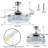 Keashia 42'' Ceiling Fan with LED Lights