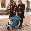 Chariot de transport pliable 3 roues-93312229