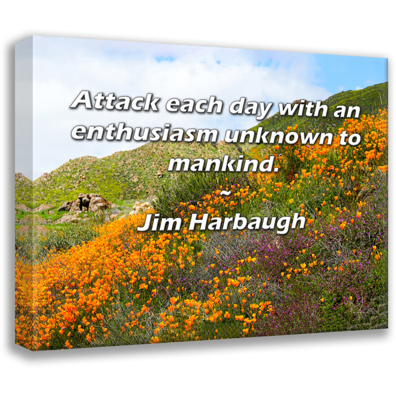 Latitude Run® Gallery Wrapped Canvas By Jim Harbaugh: "Attack each day with an enthusiasm unknown to