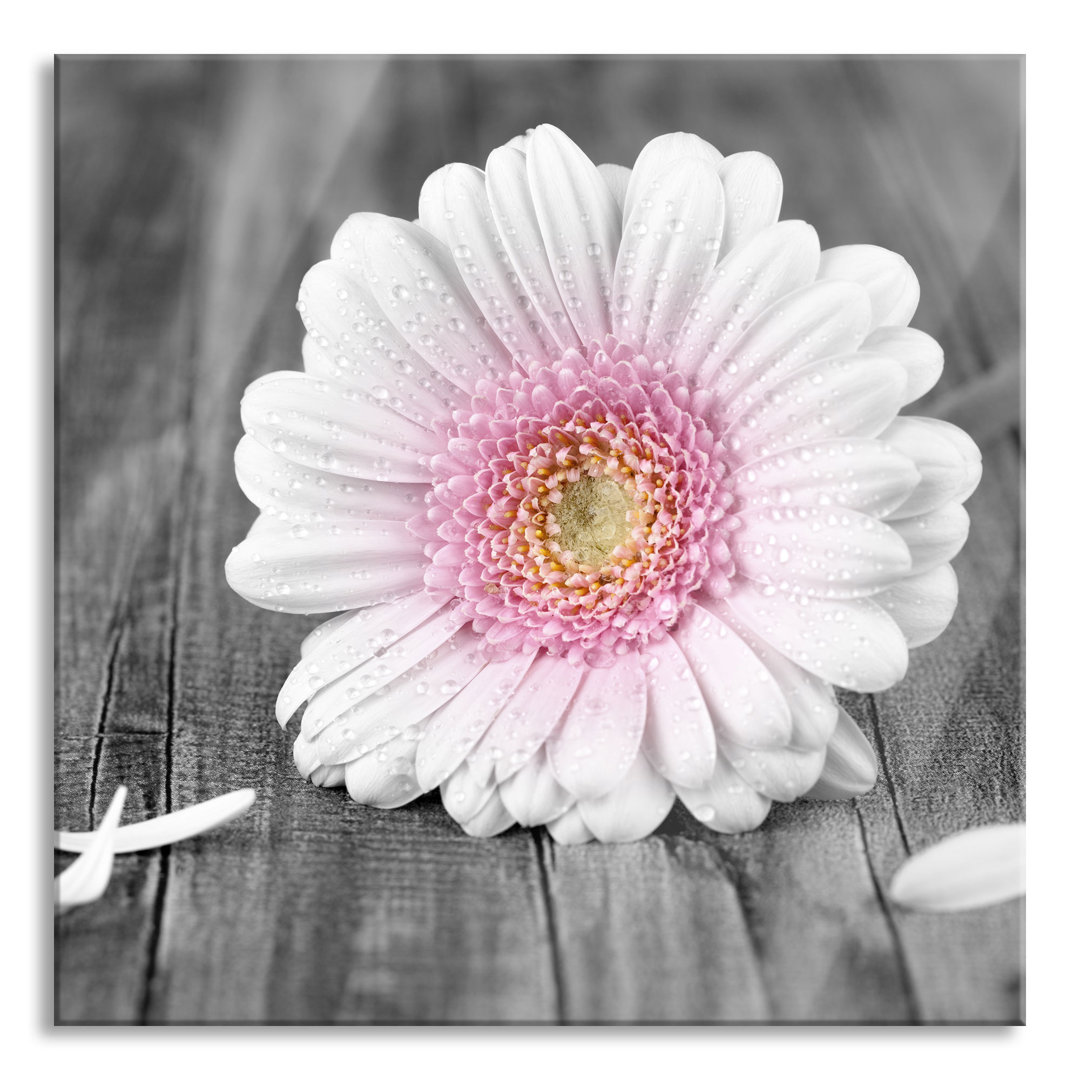 Ungerahmtes Foto auf Glas "Gerbera on Rustic Floor"