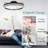 Hansbrough 20'' Ceiling Fan with LED Lights