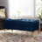Karlesha Velvet Ottoman-155657223