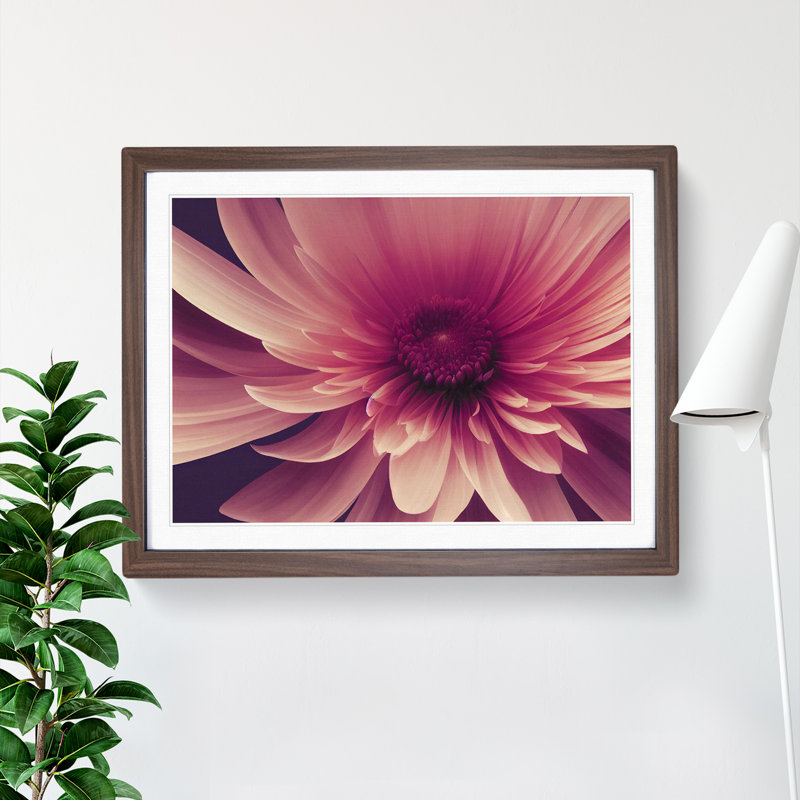 Cute Chrysanthemum Flower Vol.2 - Framed Print, 34cm H x 46cm W x 2cm D, Walnut
