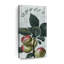 Pommes fraîches - reproduction sur toile tendue-342554312
